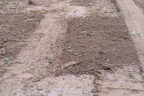 宁夏青海农村土路硬化：不铺水泥，用土壤固化剂真的能走车吗？